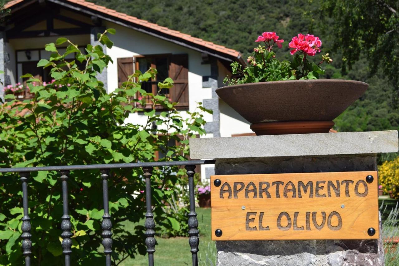 Excepcional Apartamento El Olivo Ojedo Exteriér fotografie
